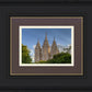 Salt Lake City Utah Temple In His Light