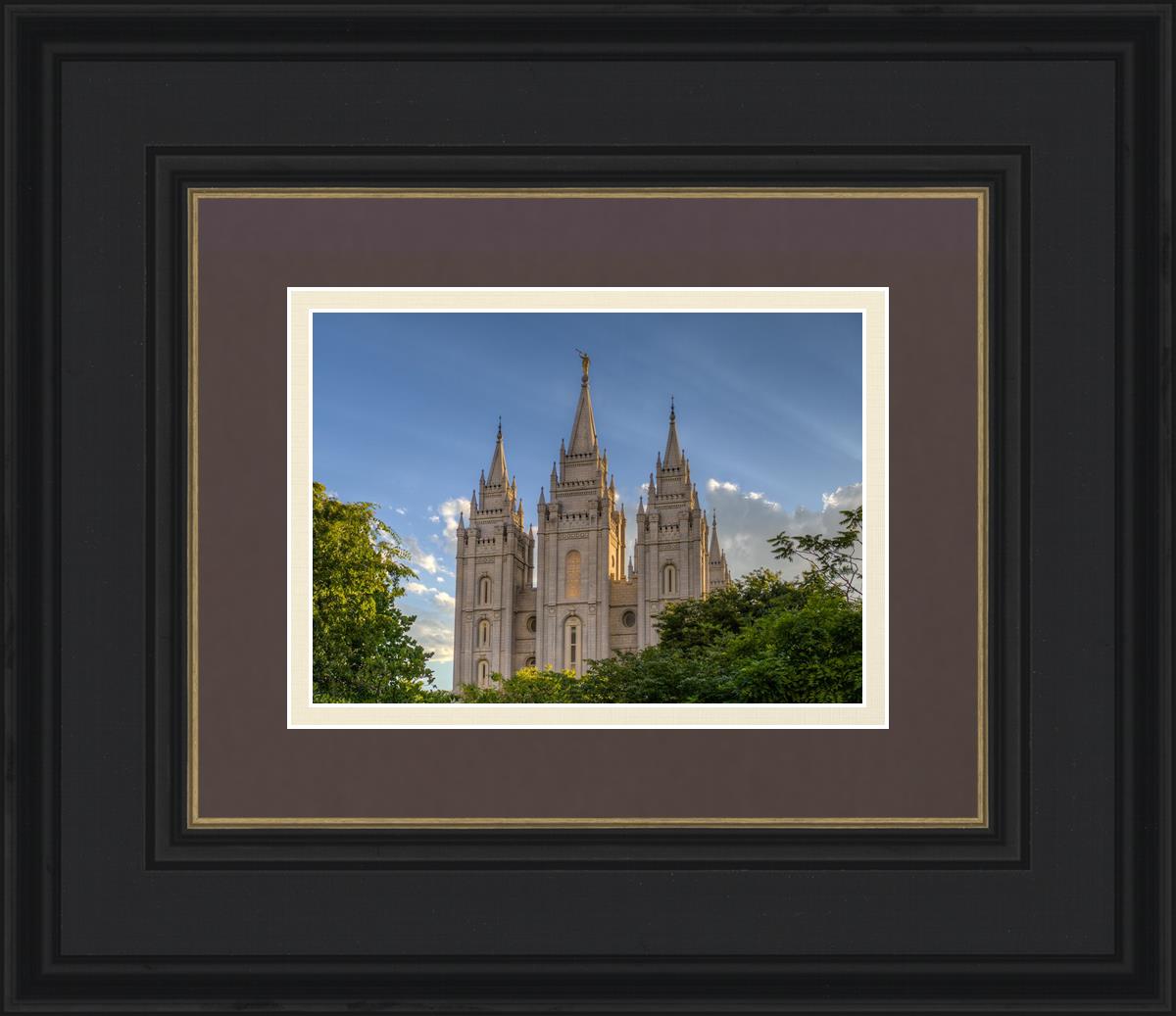 Salt Lake City Utah Temple In His Light