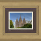 Salt Lake City Utah Temple In His Light