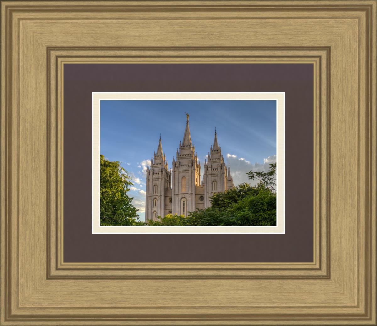 Salt Lake City Utah Temple In His Light