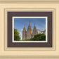 Salt Lake City Utah Temple In His Light