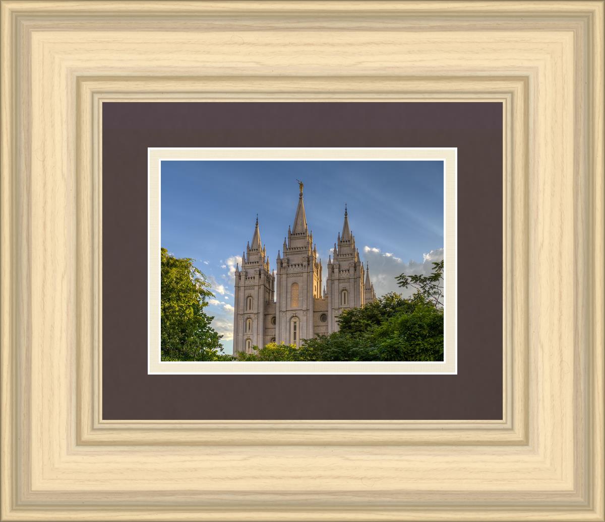 Salt Lake City Utah Temple In His Light
