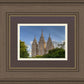 Salt Lake City Utah Temple In His Light
