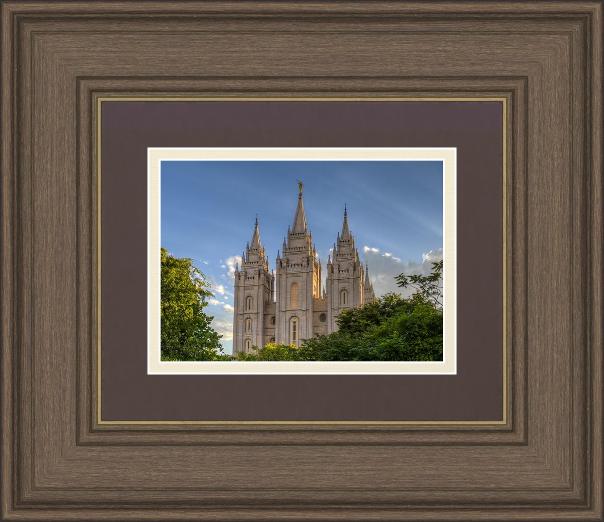 Salt Lake City Utah Temple In His Light