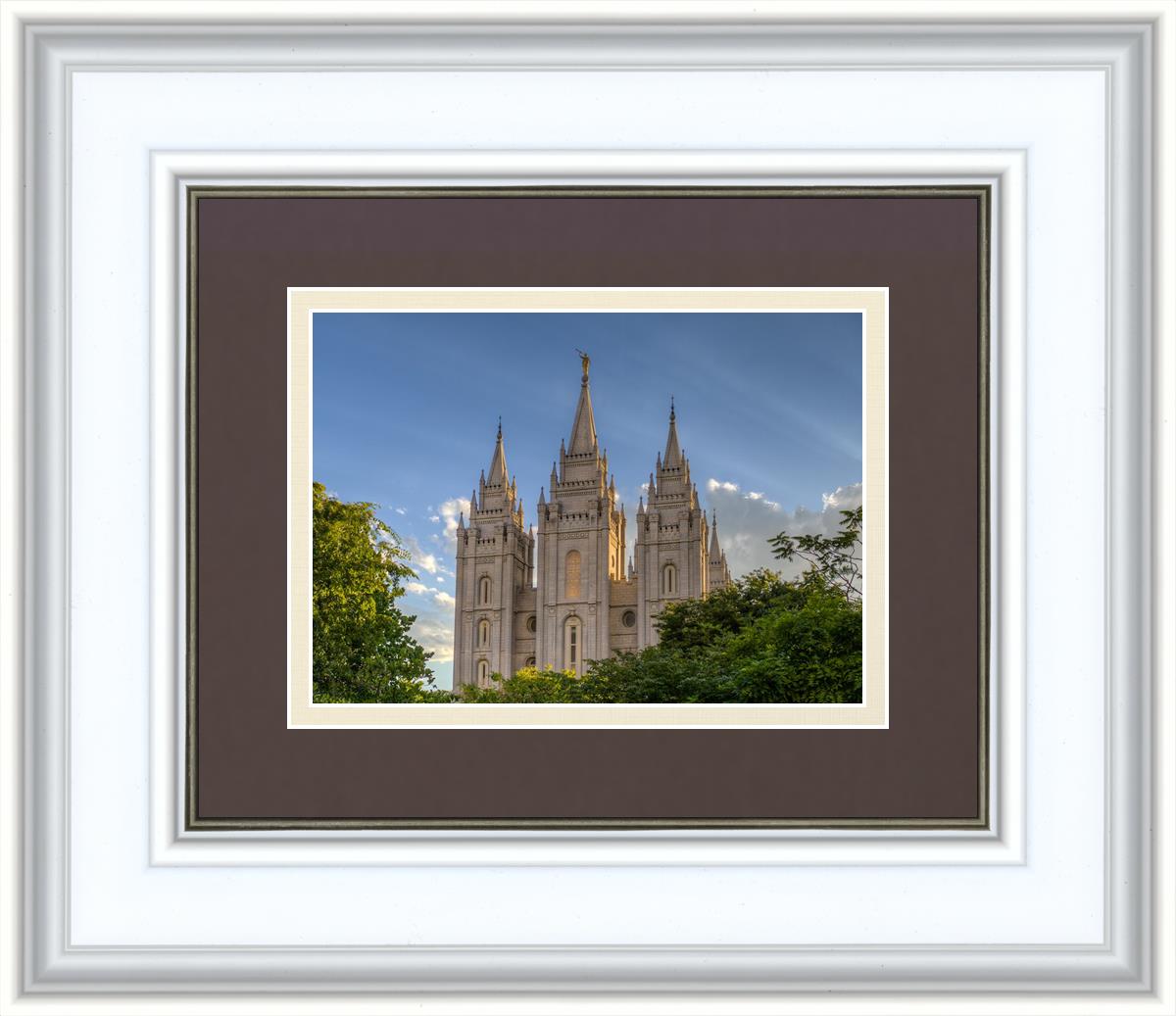 Salt Lake City Utah Temple In His Light