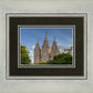 Salt Lake City Utah Temple In His Light