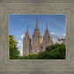 Salt Lake City Utah Temple In His Light