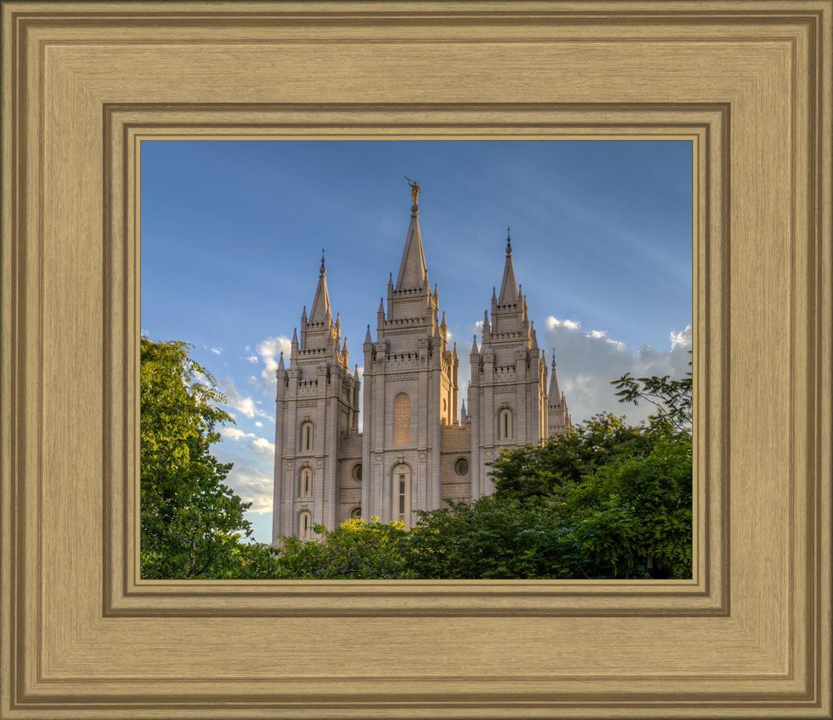 Salt Lake City Utah Temple In His Light