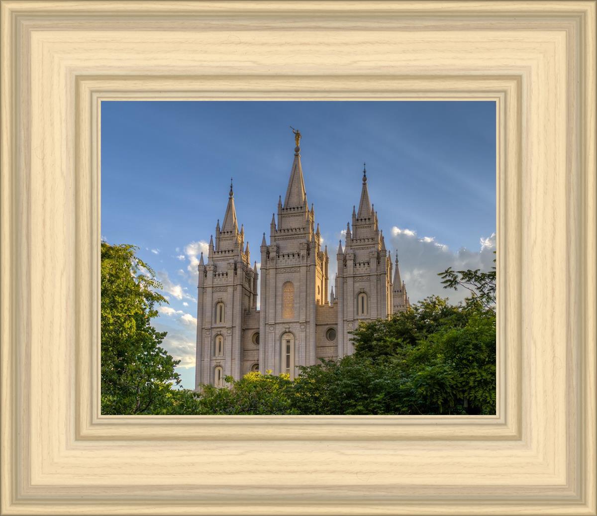 Salt Lake City Utah Temple In His Light