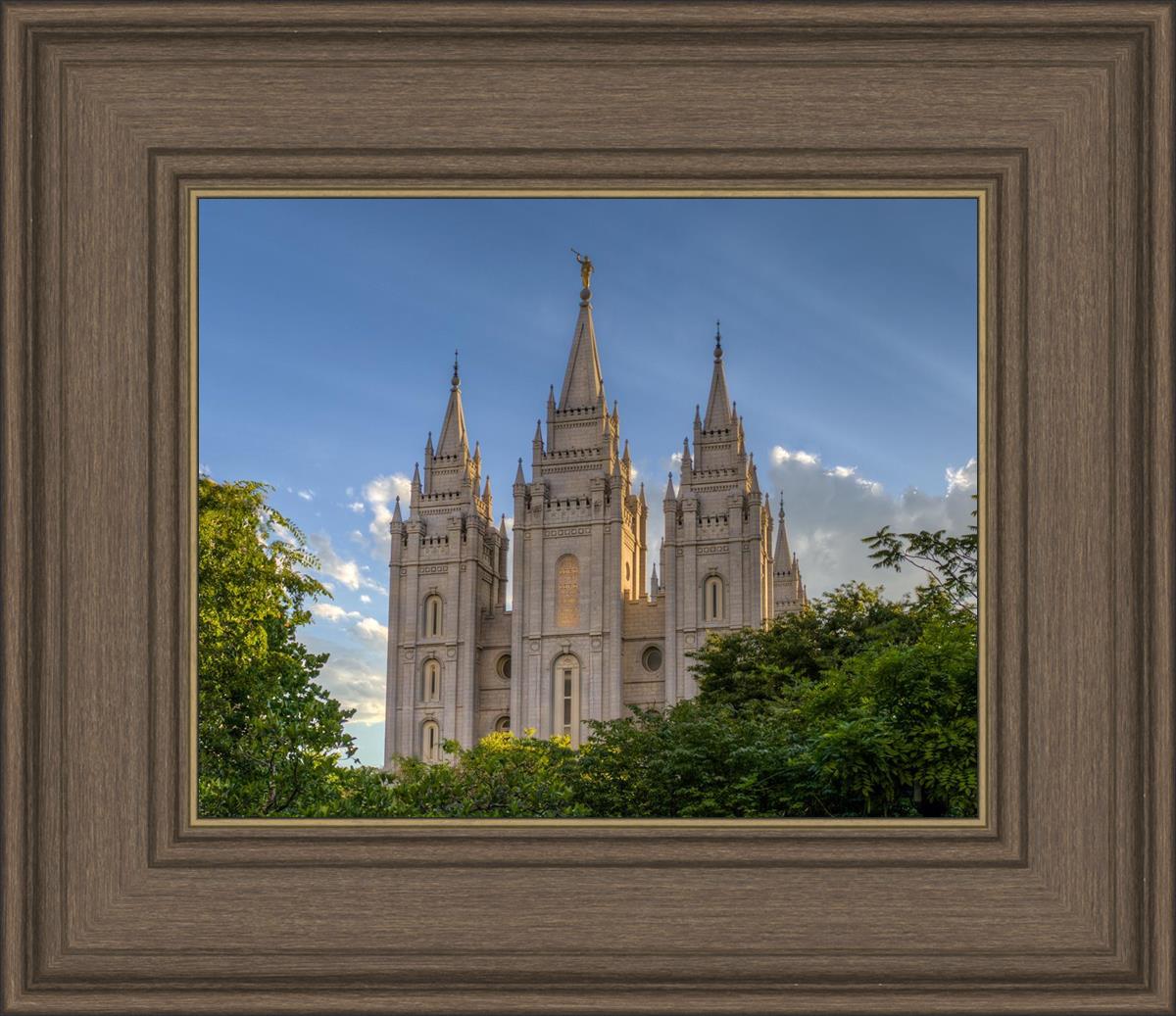 Salt Lake City Utah Temple In His Light