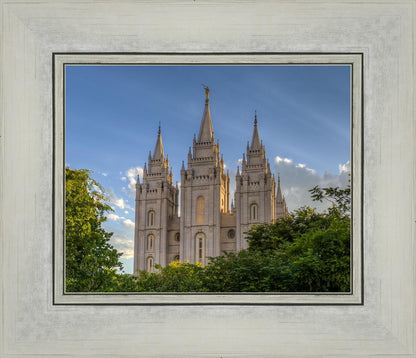 Salt Lake City Utah Temple In His Light