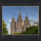 Salt Lake City Utah Temple In His Light