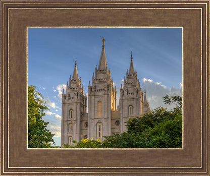Salt Lake City Utah Temple In His Light
