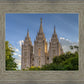 Salt Lake City Utah Temple In His Light