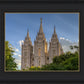 Salt Lake City Utah Temple In His Light