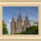 Salt Lake City Utah Temple In His Light