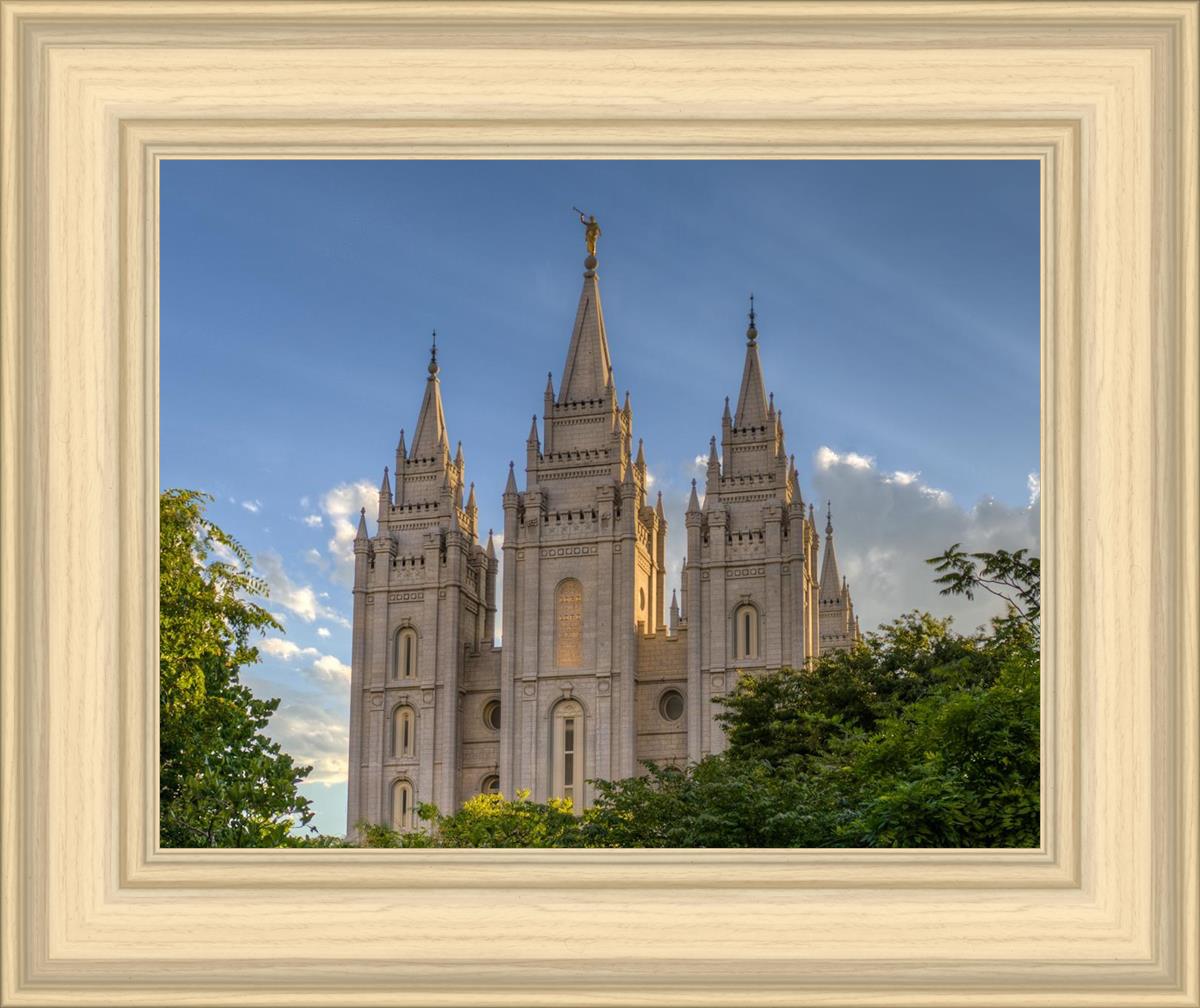 Salt Lake City Utah Temple In His Light