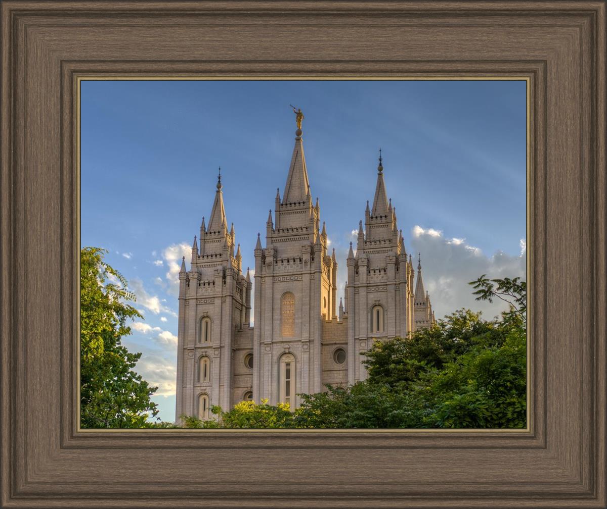 Salt Lake City Utah Temple In His Light