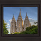 Salt Lake City Utah Temple In His Light