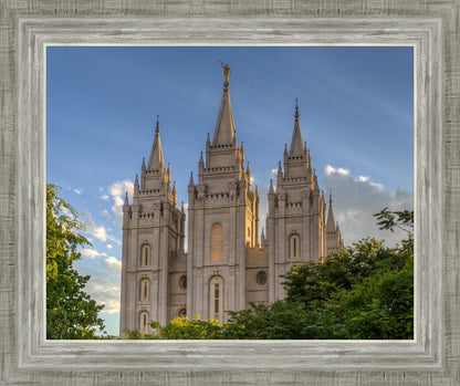 Salt Lake City Utah Temple In His Light