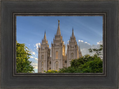 Salt Lake City Utah Temple In His Light