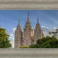 Salt Lake City Utah Temple In His Light