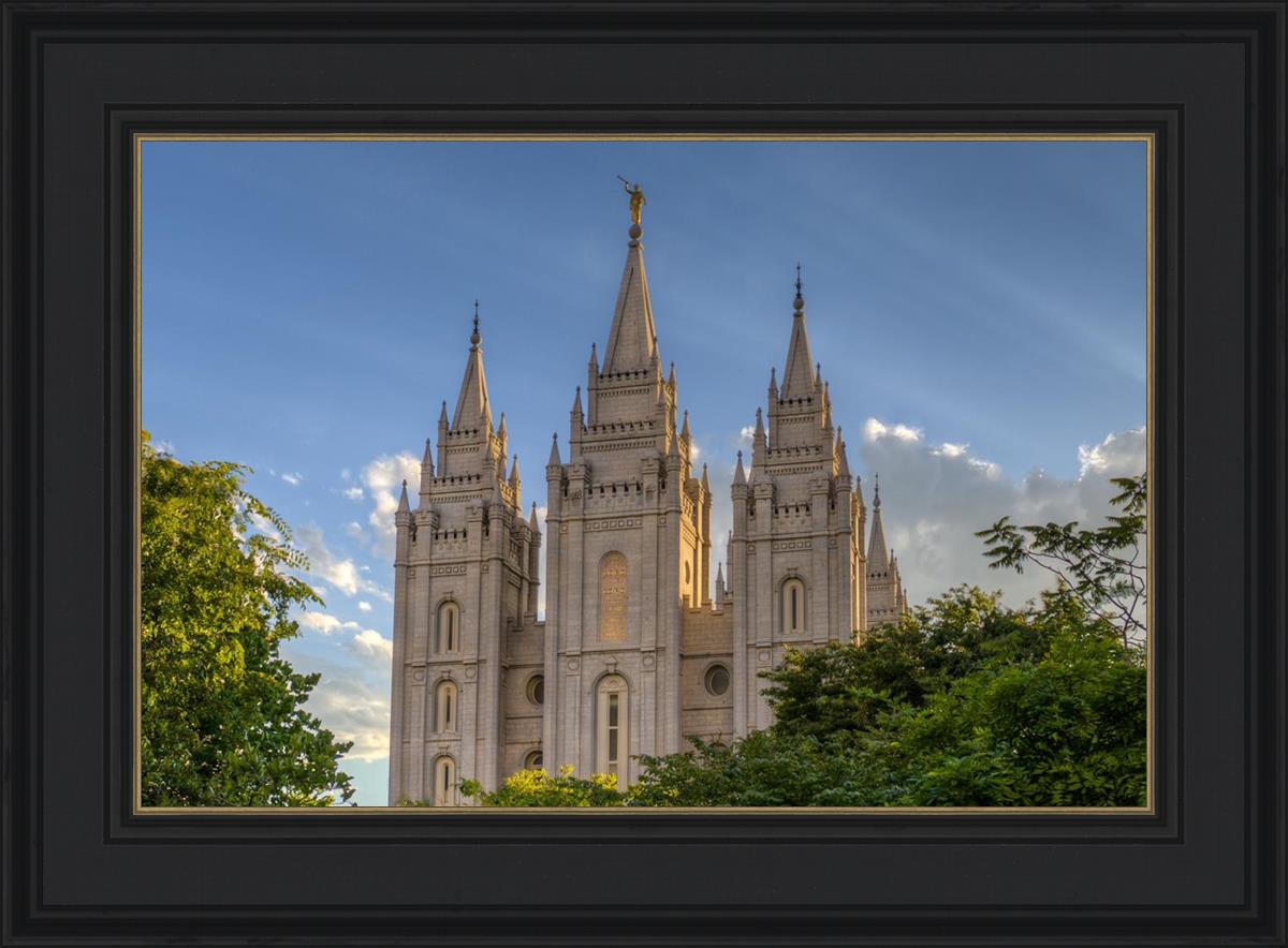 Salt Lake City Utah Temple In His Light