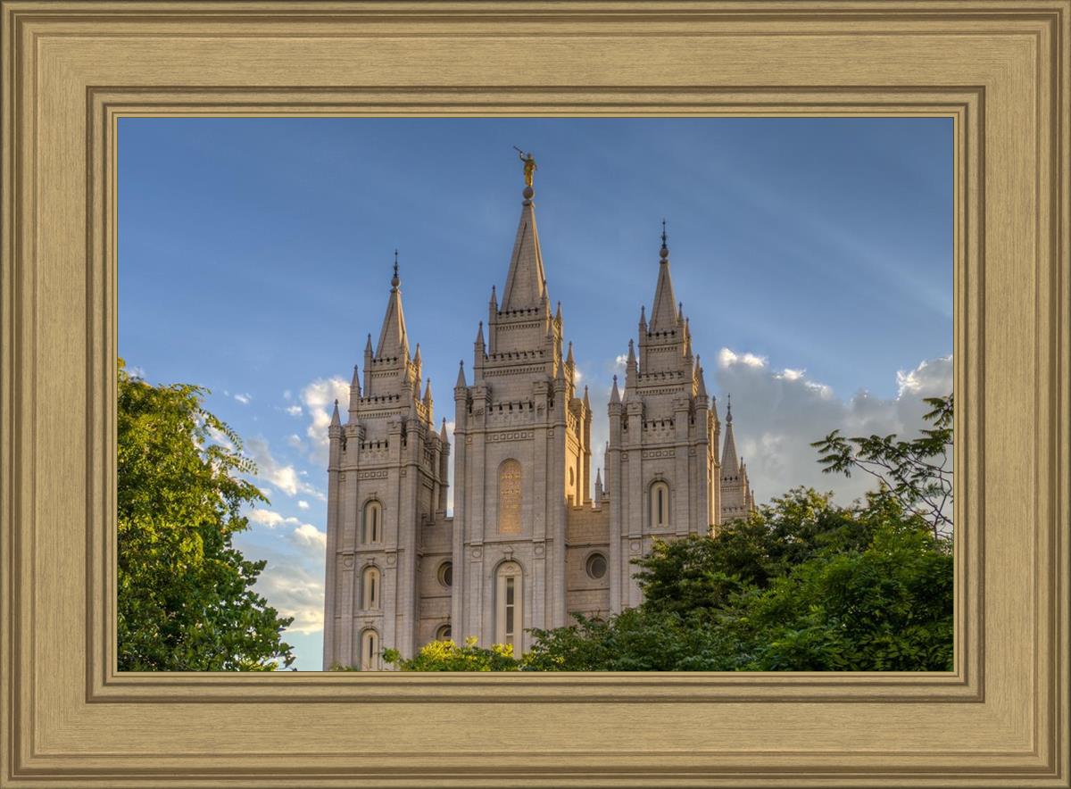Salt Lake City Utah Temple In His Light