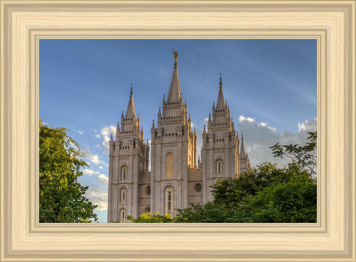 Salt Lake City Utah Temple In His Light