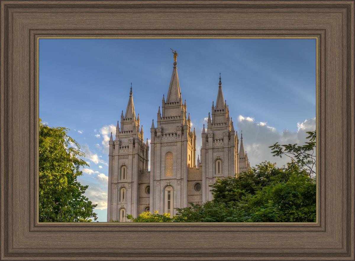 Salt Lake City Utah Temple In His Light