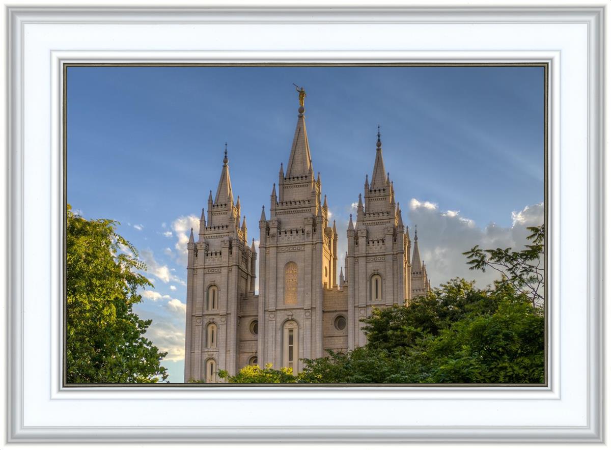 Salt Lake City Utah Temple In His Light