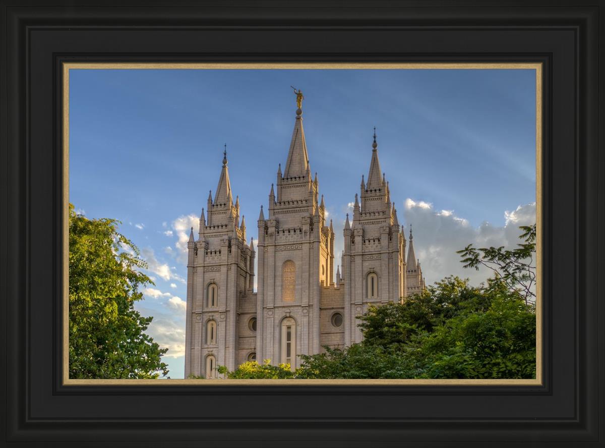 Salt Lake City Utah Temple In His Light