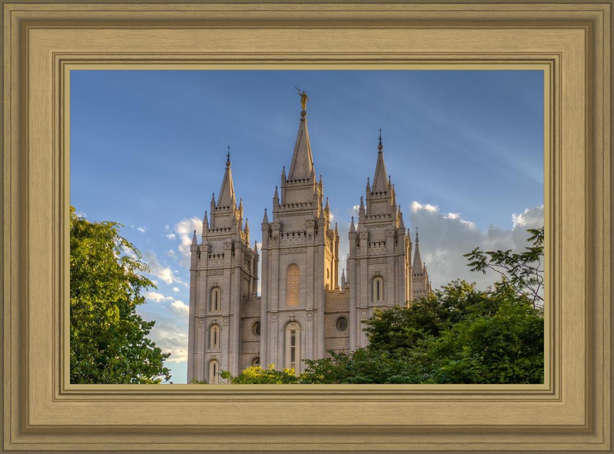 Salt Lake City Utah Temple In His Light
