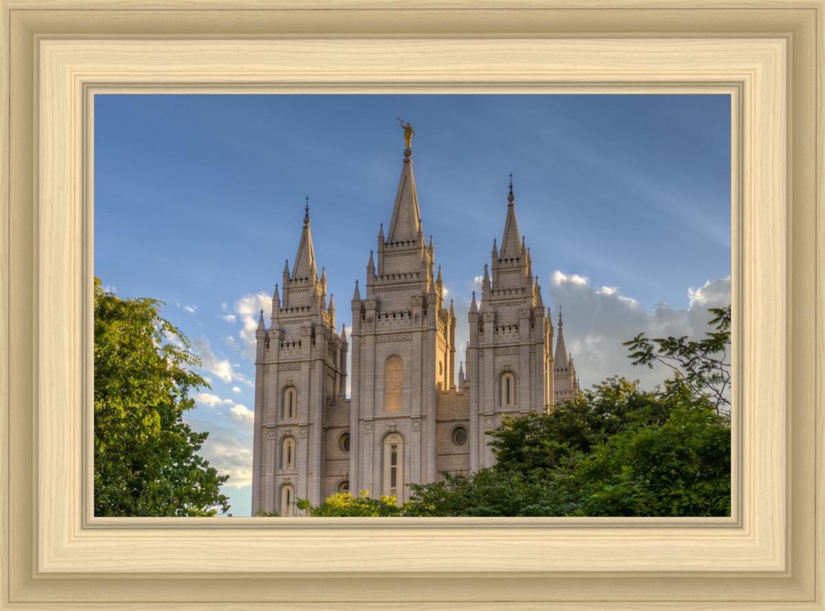 Salt Lake City Utah Temple In His Light
