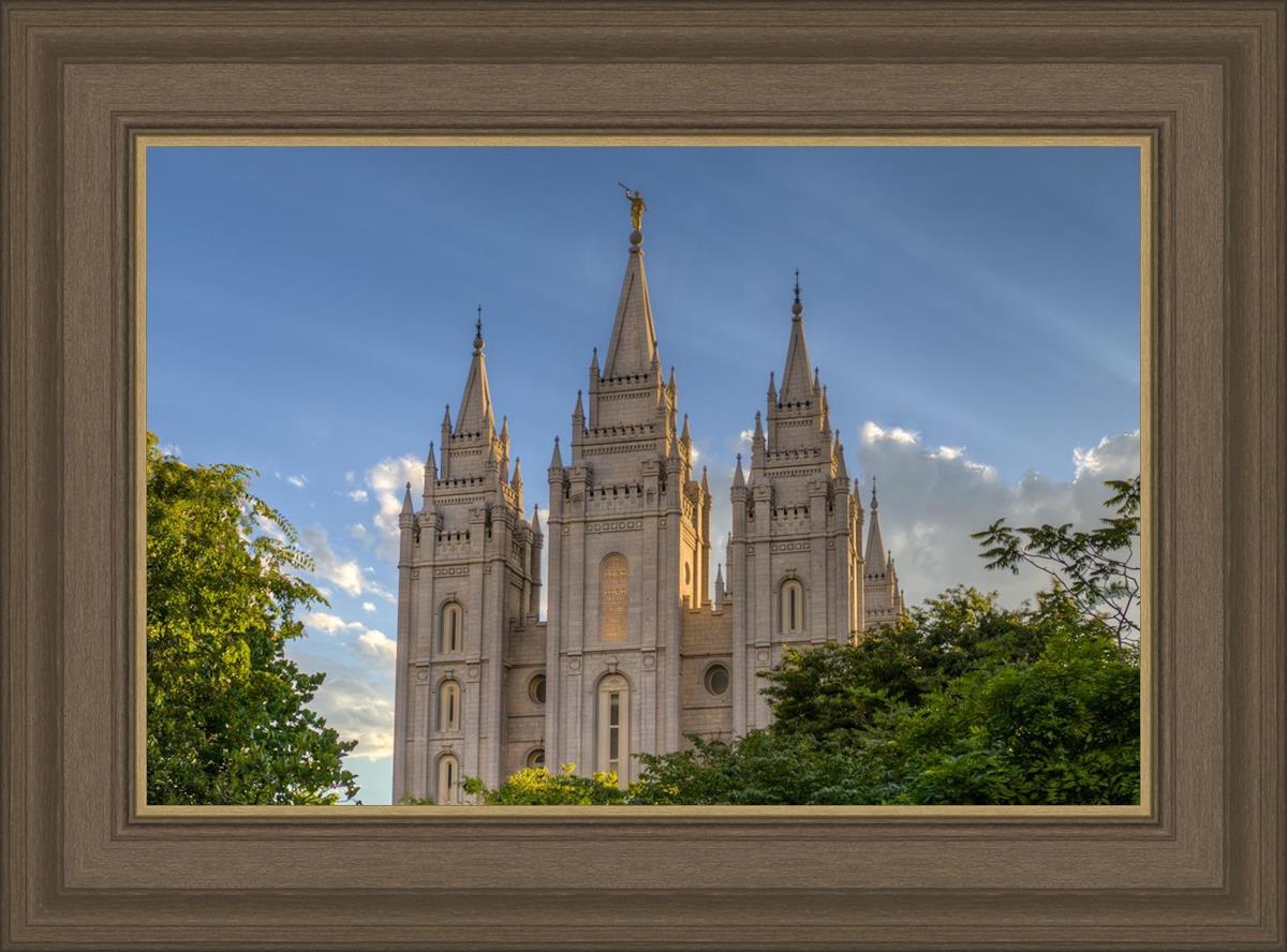 Salt Lake City Utah Temple In His Light