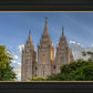 Salt Lake City Utah Temple In His Light