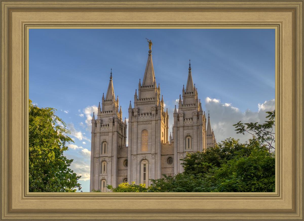 Salt Lake City Utah Temple In His Light