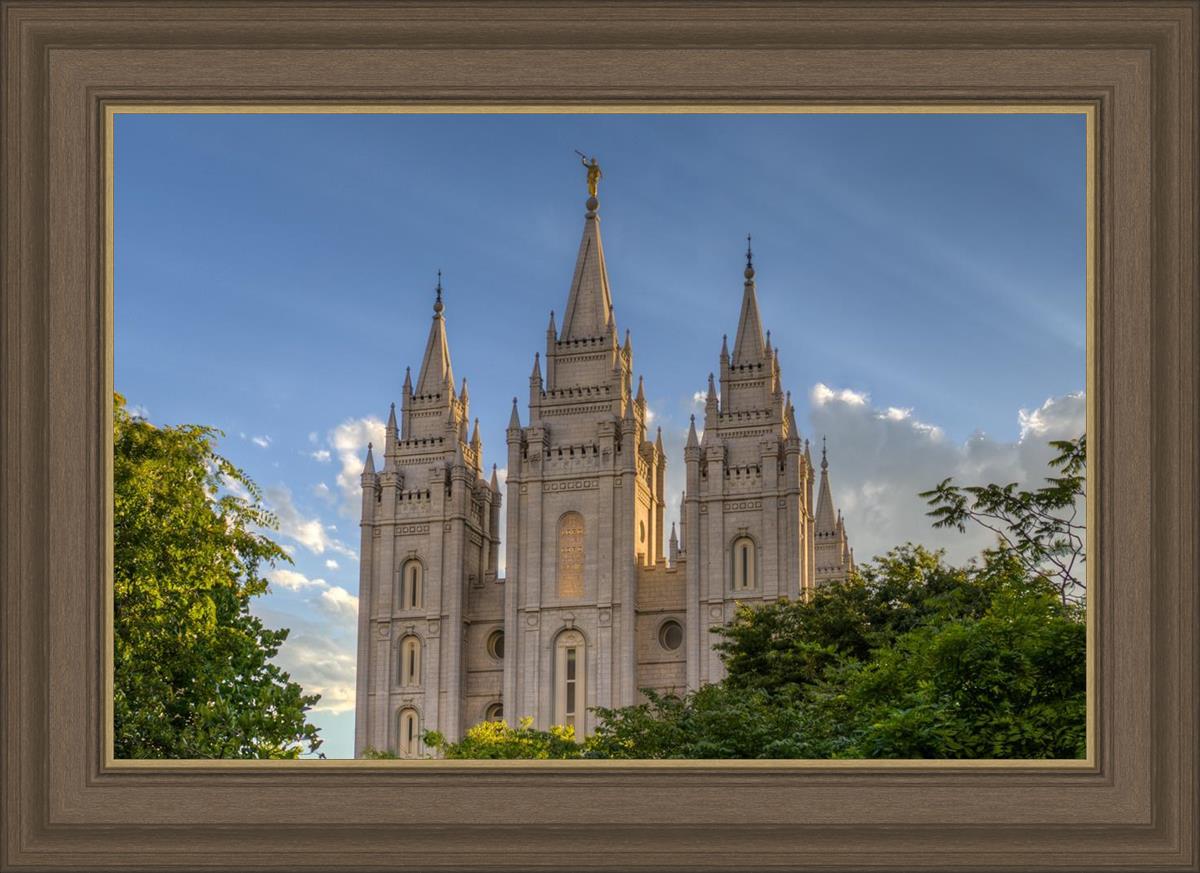 Salt Lake City Utah Temple In His Light
