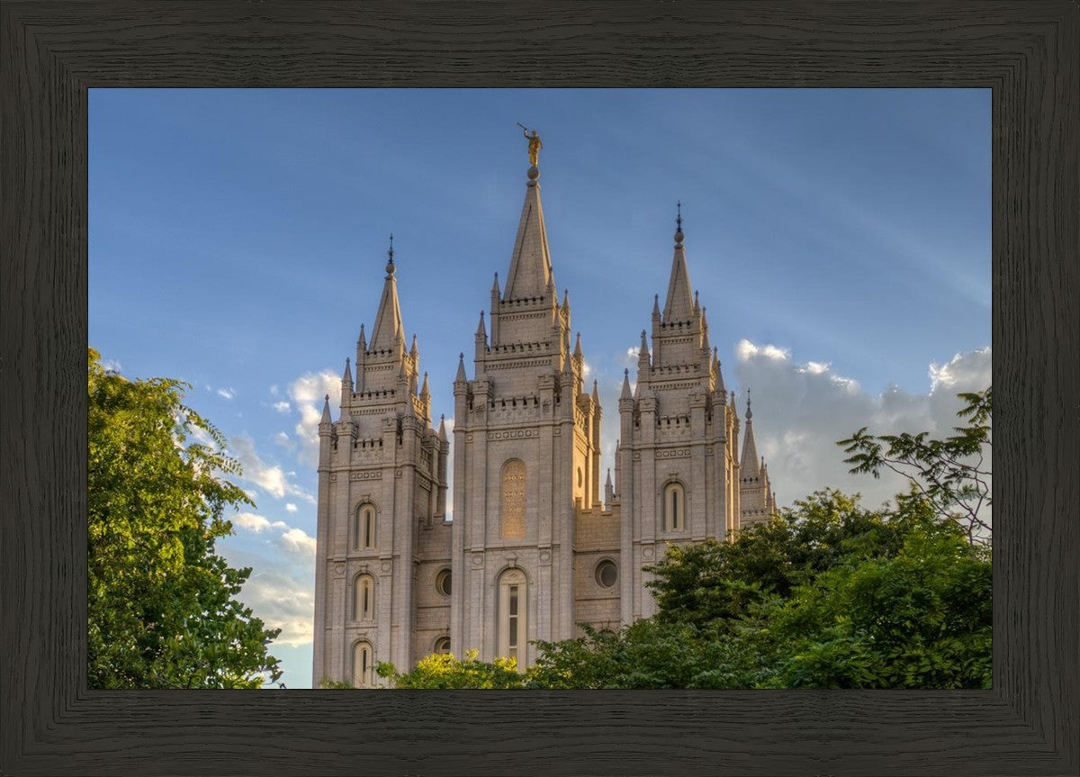 Salt Lake City Utah Temple In His Light
