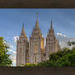 Salt Lake City Utah Temple In His Light