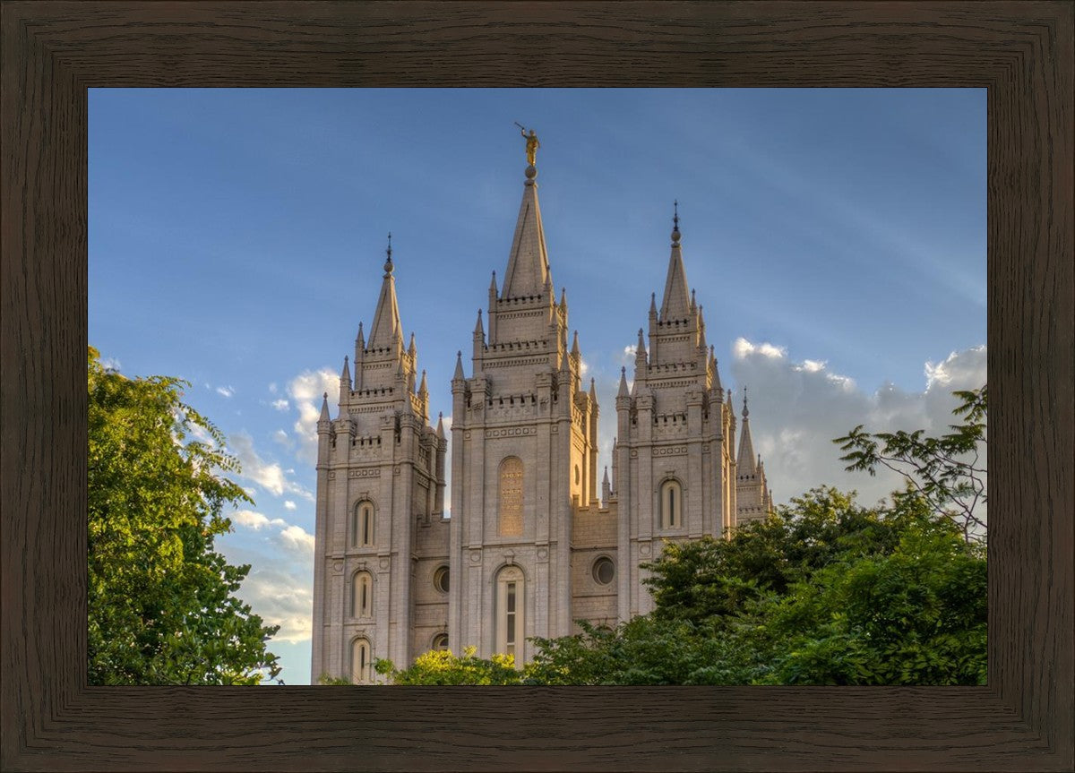 Salt Lake City Utah Temple In His Light