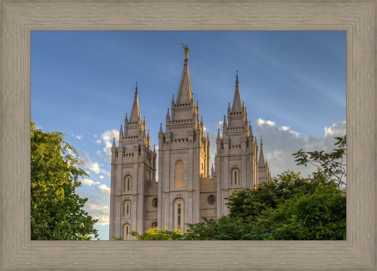 Salt Lake City Utah Temple In His Light