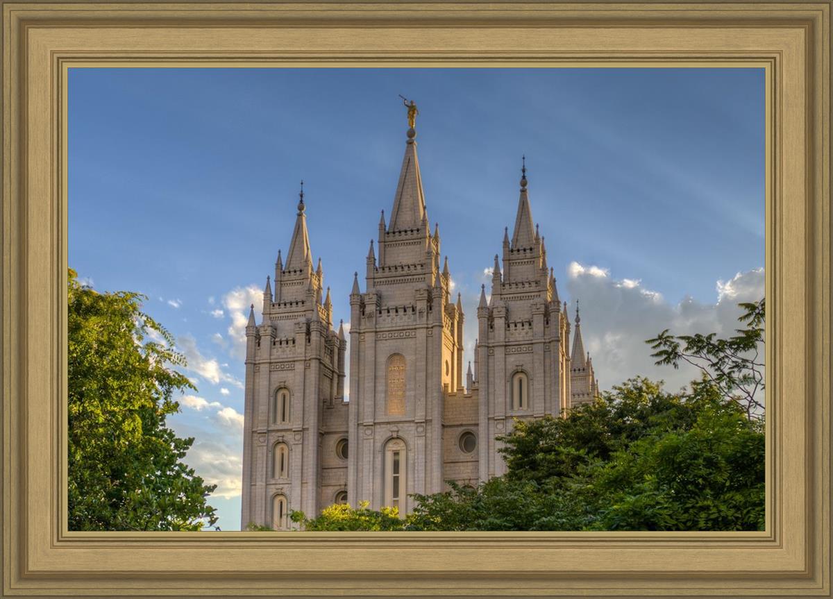 Salt Lake City Utah Temple In His Light