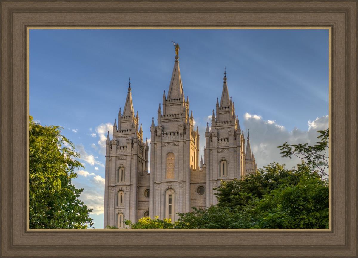 Salt Lake City Utah Temple In His Light