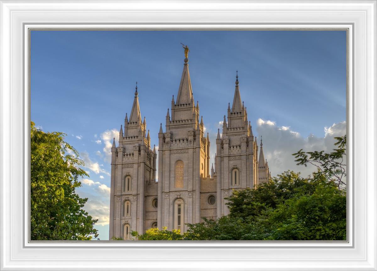 Salt Lake City Utah Temple In His Light
