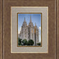 Salt Lake City Utah Temple Rays of Light Portrait
