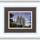 Salt Lake City Utah Temple Rays of Light Portrait