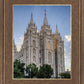 Salt Lake City Utah Temple Rays of Light Portrait