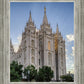 Salt Lake City Utah Temple Rays of Light Portrait