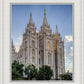 Salt Lake City Utah Temple Rays of Light Portrait